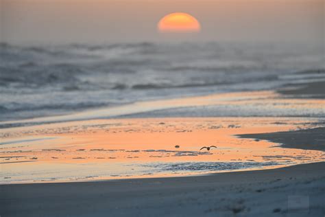 Sunset on Pensacola Beach :: Behance