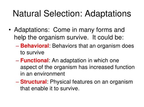 PPT - The Theory of Evolution PowerPoint Presentation - ID:1872023