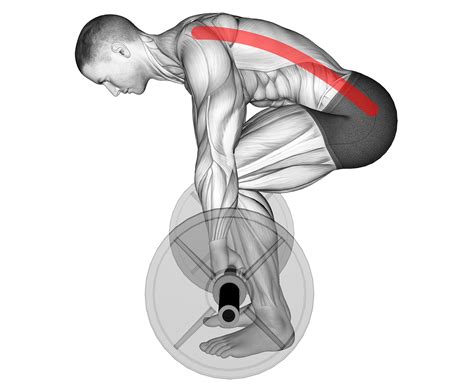 Lower Back Rounding Deadlift: How to Fix! - Inspire US