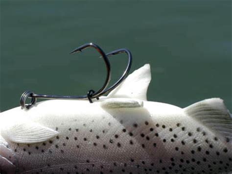 Huddleston Swimbait Review Deluxe Rate of Fall