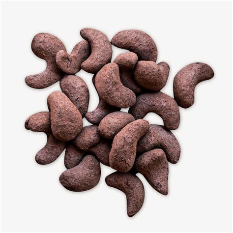 Cocoa seeds isolated image | Free Photo - rawpixel