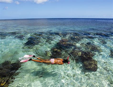 snorkeling http://www.roatanoaktreetours.com/roatan-tours/beach-and ...