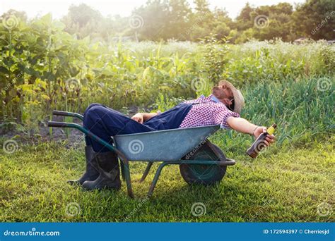 Wheelbarrow On A Green Grass Field. Garden Metal Wheelbarrow Car Stock ...