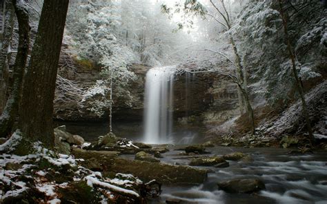 stream, Snow, Forest, River, Winter, Waterfall Wallpapers HD / Desktop ...