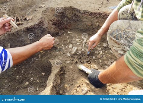 Archaeological Excavations. Archaeologist with Tools Conducts Research on Human Burial, Skeleton ...