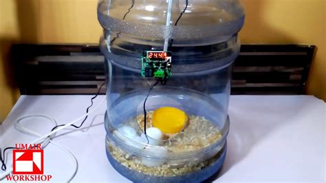 Diy incubator design - Wasboomer