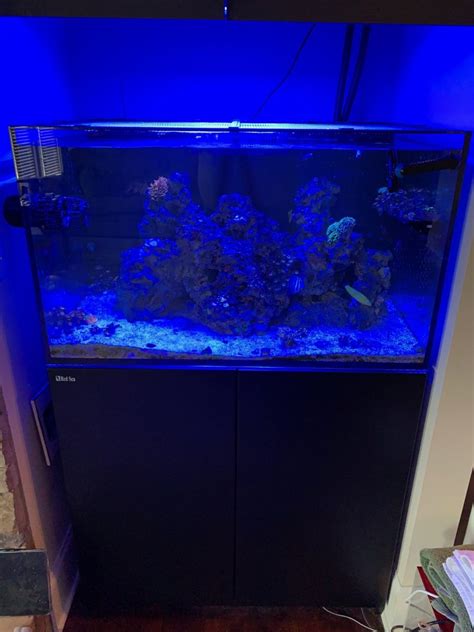 Georgia - Red Sea Reefer 250 w/sump and return pump | REEF2REEF ...