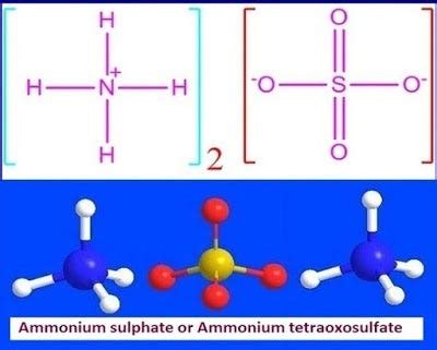 What is ammonium sulfate or (NH4)2SO4? | by KAKALI GHOSH , Teacher,blogger. M.Sc chemistry. | Medium