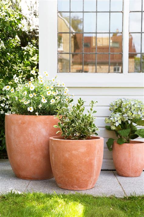 Classic terracotta garden pots never go out of style. This set of 3 from A by Amara is perfect ...