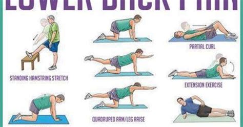 Bad Back Exercises Exercises for bad back | Self-Care | Bad Back ...