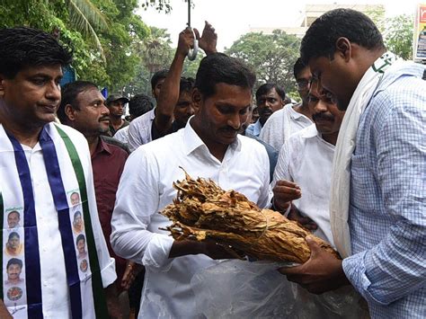 YS Jagan Continuous Padayatra In Rain Photos