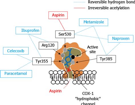 of aspirin antiplatelet effects by non-opioid analgesic medication World Journal of Cardiology ...