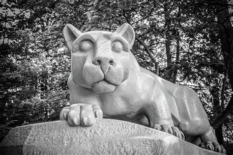 Nittany Lion Shrine Penn State University Campus Print Photograph by ...