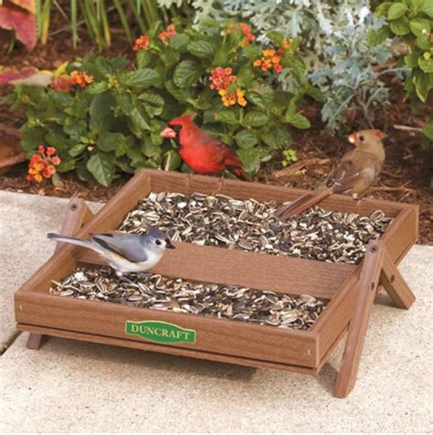 9 of the Best Platform Bird Feeders Plus Tips to Keep Them in Top Shape