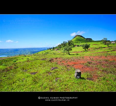 Kaas Plateau, Satara, Maharashtra | Kaas Plateau, nestled in… | Flickr