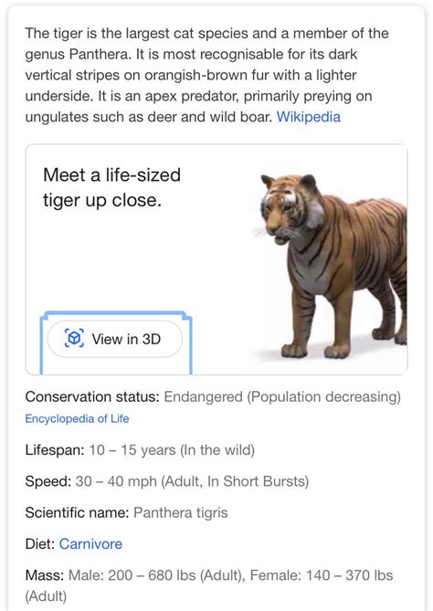 Teaching Resources: Google's 3D Animals