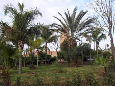 taroudant: Marrakesh Gardens - the Koutoubia.