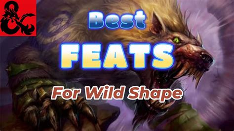 Wild Shape Feats for your Druid: D&D 5e Optimization - YouTube