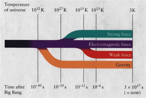 Four Fundamental Forces Diagram