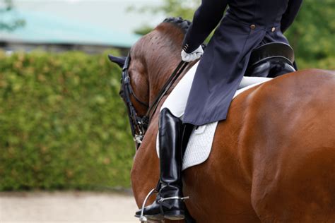 5 Best Dressage Stirrups for Perfect Leg Position - Horse Rookie