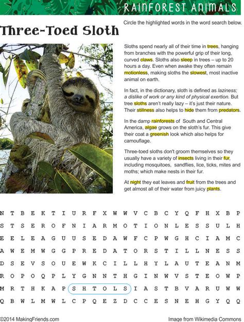 Sloth Facts Printable