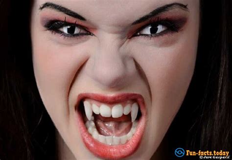 Facts about Vampire History - stunningfun.com