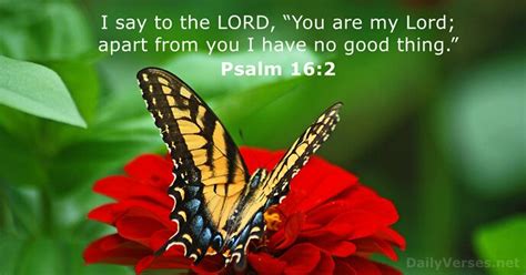 Psalm 16:2 - Bible verse of the day - DailyVerses.net