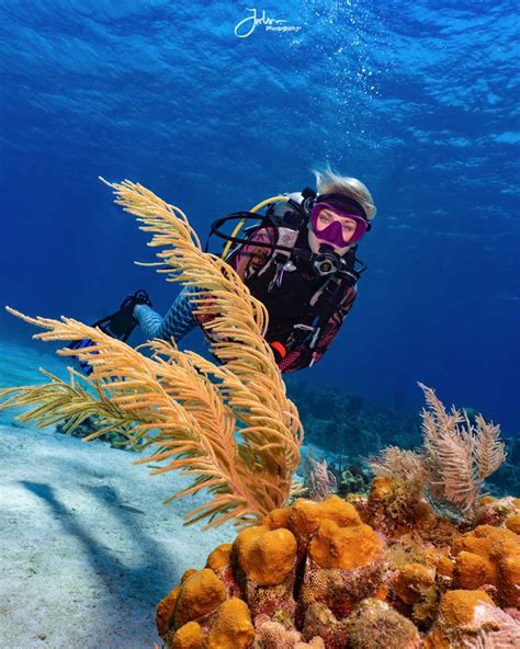 Scuba diving in Roatan Honduras - The best of The Bay Islands