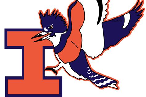 Illinois mascot: Belted Kingfisher passes student vote, but no change coming yet - Chicago Sun-Times