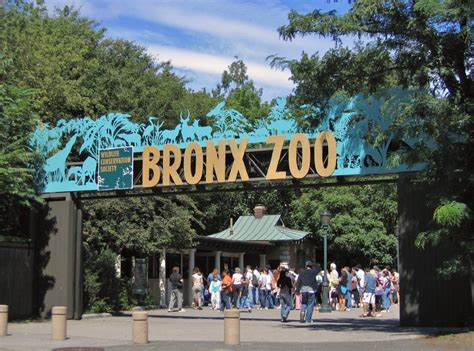 Bronx Zoo Parking Guide 2021 (How to Save Money)