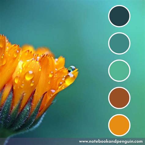 Best Teal Color Guide & Teal Color Palettes (Hex Codes Incl) | Teal color palette, Orange color ...