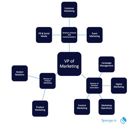 sample marketing org chart - Sponge | Marketing and Operations Analysts