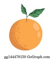 900+ Royalty Free Fresh Orange Fruit Icon Vectors - GoGraph