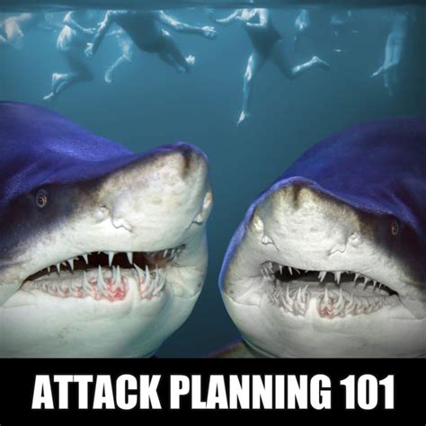 12 Silly Shark Memes to Make You Laugh