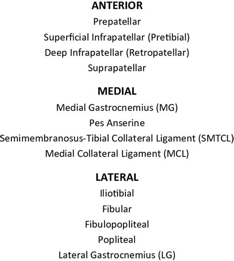 Normal bursae of the knee by location. | Download Table