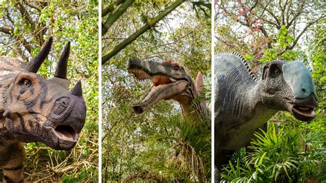 Dinosaurs Return To The Jacksonville Zoo On March 2 | WJCT NEWS