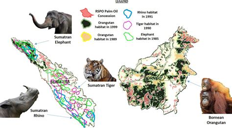 Certified 'sustainable' palm oil fields endanger mammal habitats and ...