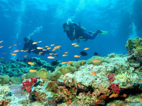 Micronesia: Experience Yap & Palau Diving - Fly & Sea Dive Adventures