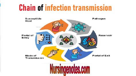 Chain of infection transmission - NursingNotes