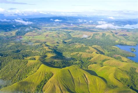 Papua New Guinea - Nature Travel Birding