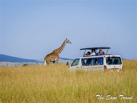 3 day Masai Mara safari review, Kenya