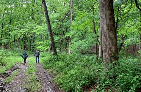 13 wooded acres preserved in Peapack-Gladstone - New Jersey ...