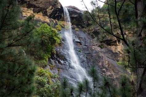 Bambarakanda Falls - The Highest Waterfall in Sri Lanka | Explore Sri Lanka