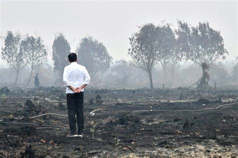 Indonesia needs to get tougher on fires | South China Morning Post