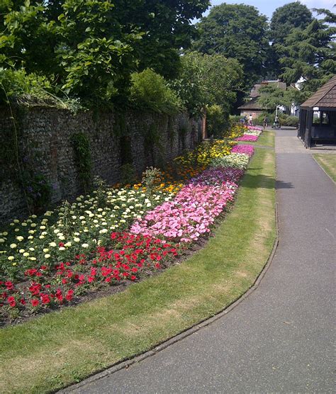 Volunteers get together to help maintain Croydon’s park life | Inside Croydon