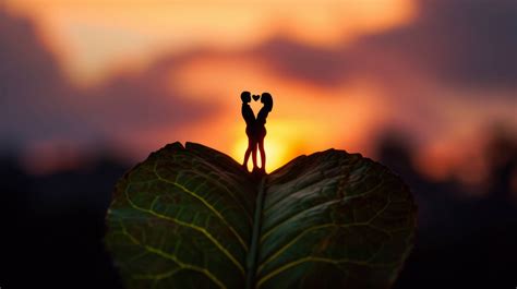 Silhouette of a couple at sunset, romantic sunset photo, couple holding hands silhouette, love ...