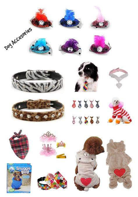 10 Best Dog Accessories - Katie Talks Carolina