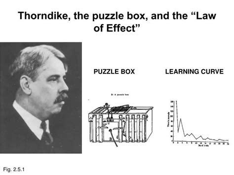 Thorndike Law Of Effect / Thorndike's Law of Effect - Trial and Error Learning - YouTube / The ...