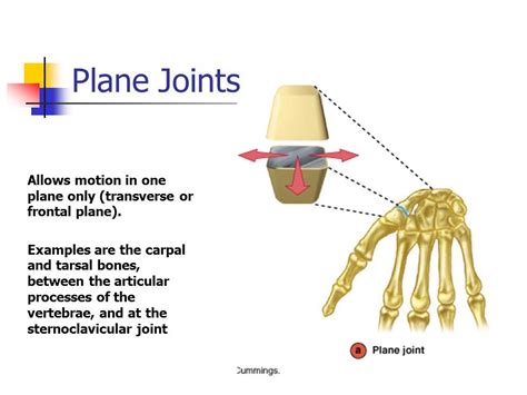 Plane Joint