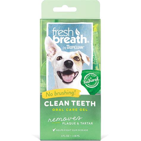 Best Toothpaste for Dogs Including Tips for Canine Oral Health